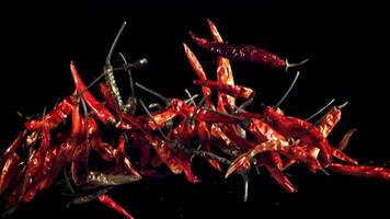 Pods of dried chili peppers fly up and fall down. On a black background. Filmed on a high-speed camera at 1000 fps. video