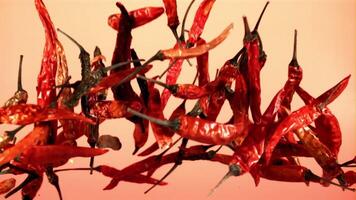 Dried chili peppers fly up and fall down. On a pink background. Filmed on a high-speed camera at 1000 fps. video