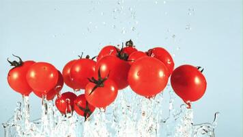 Tomaten mit spritzt von Wasser fliegen oben und fallen runter. auf ein Blau Hintergrund. gefilmt ist schleppend Bewegung 1000 fps. video