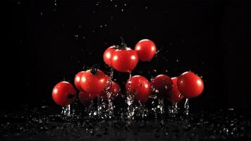 vers tomaten met druppels van water stijgen en val. Aan een zwart achtergrond. gefilmd is langzaam beweging 1000 fps. video