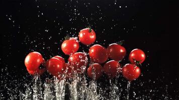 juteux tomates avec éclaboussures de l'eau monter en flèche en haut et automne. sur une noir Contexte. filmé est lent mouvement 1000 ips. video