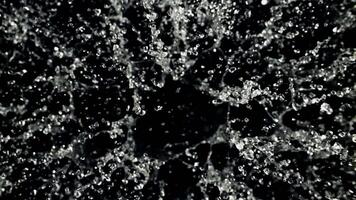 spruzzi di acqua prendere via e ruotare nel volo. superiore Visualizza. su un' nero sfondo. girato su un' alta velocità telecamera a 1000 fps. video