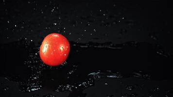 frisch Tomaten fallen mit spritzt von Wasser auf das Tisch. auf ein schwarz Hintergrund. gefilmt ist schleppend Bewegung 1000 fps. video