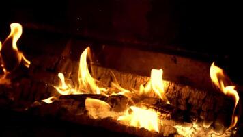 Firewood burns in the fireplace with bright flames. On a black background. Filmed on a high-speed camera at 1000 fps. video