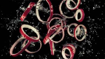 Rings of red onion with drops of water fly up and rotate in flight. Top view. On a black background. Filmed on a high-speed camera at 1000 fps. video