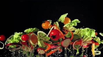 Fresh cucumbers, tomatoes, lettuce and onions rise up and fall down. On a black background. Filmed on a high-speed camera at 1000 fps. video