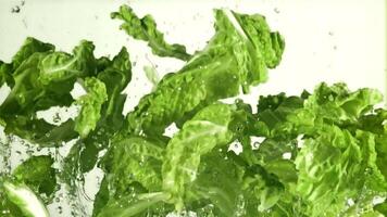 Lettuce leaves with splashes of water fly up and rotate in flight. On a white background. Filmed on a high-speed camera at 1000 fps. video