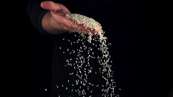 ein Hand voll von ungekocht Reis Stürze von ein des Mannes Hand. auf ein schwarz Hintergrund. gefilmt ist schleppend Bewegung 1000 fps. video