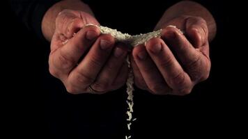 From men's palms pours raw rice. On a black background. Filmed on a high-speed camera at 1000 fps. video