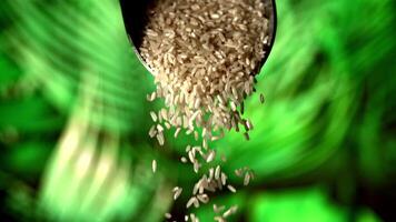 Raw rice falls off the scoop. Against a background of green foliage. Filmed on a high-speed camera at 1000 fps. video