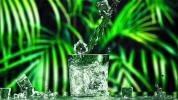 Water with ice cubes is poured into the glass. Against the background of leaves. Filmed on a high-speed camera at 1000 fps. video