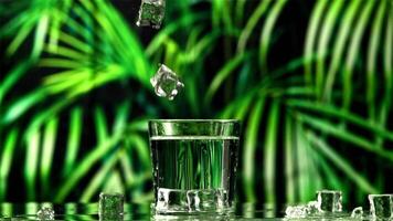 Ice cubes with splashes fall into a glass of water. Against a backdrop of tropical foliage. Filmed on a high-speed camera at 1000 fps. video