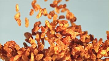 raisins secs monter en flèche en haut et tomber bas. sur une bleu Contexte. filmé est lent mouvement 1000 ips. video