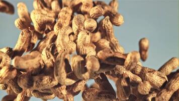 Peanuts in the shell rise up and fall down. On a blue background. Filmed on a high-speed camera at 1000 fps. video