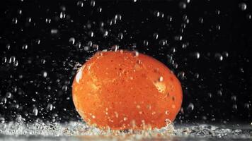 Drops of water fall on the egg. On a black background. Filmed is slow motion 1000 fps. video