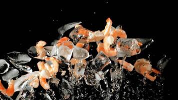 Shrimp with pieces of ice rise up and rotate in flight. On a black background. Filmed on a high-speed camera at 1000 fps. video