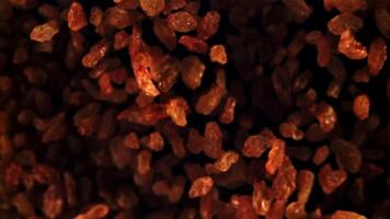 Raisins go up and fall down. On a black background. Top view. Filmed on a high-speed camera at 1000 fps. video