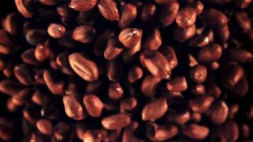 Peanuts fly up and rotate in flight. Top view. Macro background.Filmed on a high-speed camera at 1000 fps. video