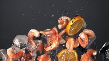 Shrimp with pieces of lemon and ice fly up and fall down. On a gray background. Filmed is slow motion 1000 fps. video