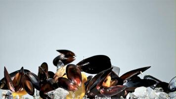 Fresh mussels with lemon rise up and fall down. On a blue background. Filmed on a high-speed camera at 1000 fps. video