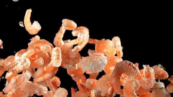 A pile of fresh shrimp soars up and falls. On a black background. Filmed is slow motion 1000 fps. video