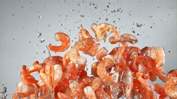 Shrimp with splashes of water fly up and rotate in flight. On a blue background. Filmed on a high-speed camera at 1000 fps. video