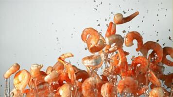 Shrimp with splashes of water fly up and rotate in flight. On a blue background. Filmed on a high-speed camera at 1000 fps. video