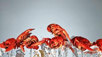 Crayfish with pieces of lemon and ice fly up and fall down. On a blue background. Filmed is slow motion 1000 fps. video