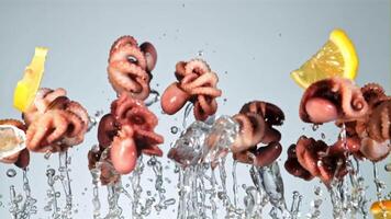 Boiled octopuses with lemon and ice rise up and fall down. On a blue background. Filmed on a high-speed camera at 1000 fps. video