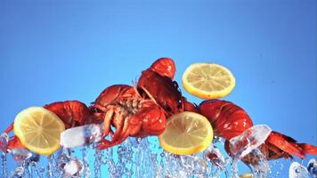 Crayfish with lemon and ice fly up and fall down. On the blue screen. Filmed is slow motion 1000 fps. video