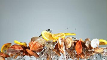 Fresh mussels with lemon rise up and fall down. On a blue background. Filmed on a high-speed camera at 1000 fps. video