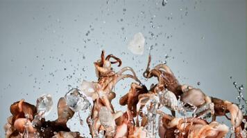 Raw octopuses with ice and splashes of water soar up and fall. On a blue background. Filmed is slow motion 1000 fps. video