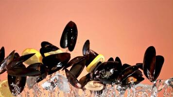 Mussels with pieces of ice rise up and fall. On a pink background. Filmed is slow motion 1000 fps. video