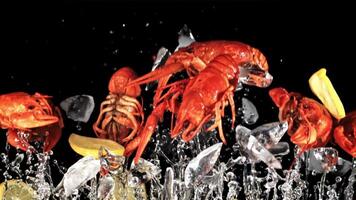 Boiled crayfish with lemon and ice rise up and fall down. On a black background. Filmed on a high-speed camera at 1000 fps. video