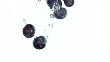 Fresh blueberry fall underwater with bubbles. Filmed is slow motion 1000 fps. High quality FullHD footage video