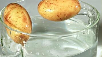 Kartoffeln fallen in ein klar Topf mit spritzt von Wasser. Makro Hintergrund. gefilmt auf ein schnelle Geschwindigkeit Kamera beim 1000 fps. video