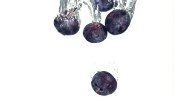 Fresh blueberry fall underwater with bubbles. High quality FullHD footage video