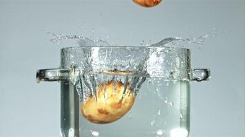 Frais patates tomber dans une pot avec éclaboussures de l'eau. sur une bleu Contexte. filmé est lent mouvement 1000 ips. video