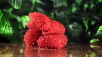 Raspberries fall on a wet table. Filmed is slow motion 1000 fps. High quality FullHD footage video
