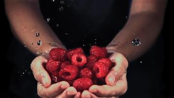 Wasser tropft auf Himbeeren im Hände. gefilmt ist schleppend Bewegung 1000 fps. hoch Qualität fullhd Aufnahmen video