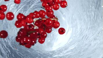 röd vinbär falls in i en bubbelpool. hög kvalitet full HD antal fot video