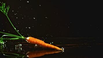 Fresh carrots fall on the table. Filmed is slow motion 1000 fps. High quality FullHD footage video