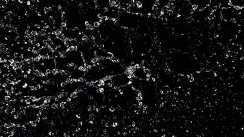 Splashes of water rise up and fall. Top view. On a black background. Filmed is slow motion 1000 fps. video