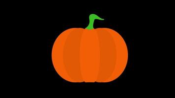 Autumn Halloween Pumpkin icon concept loop animation video with alpha channel