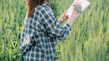 ricercatore siamo test il qualità di riso nel il azienda agricola video