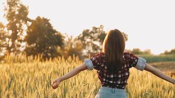 chercheur sont tester le qualité de riz dans le ferme video