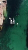vertical vídeo do berlengas ilha dentro Portugal aéreo Visão video