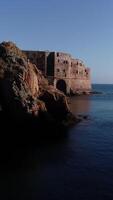 verticale video di berlengas isola nel Portogallo aereo Visualizza