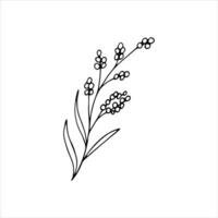 flor silvestre clipart para Boda invitación. dibujado a mano garabatear Escribiendo floral planta. botánico flor rama. de moda bosquejo elemento de jardín planta. vector