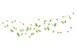 volador verde té hojas. vector ilustración para cubrir, bandera, póster, tarjeta, web y embalaje.